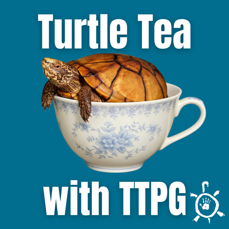 Tabasco Mud Turtles: The Turtle World’s Best-Kept Secret