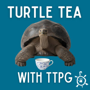 Galapagos tortoise in front of teacup