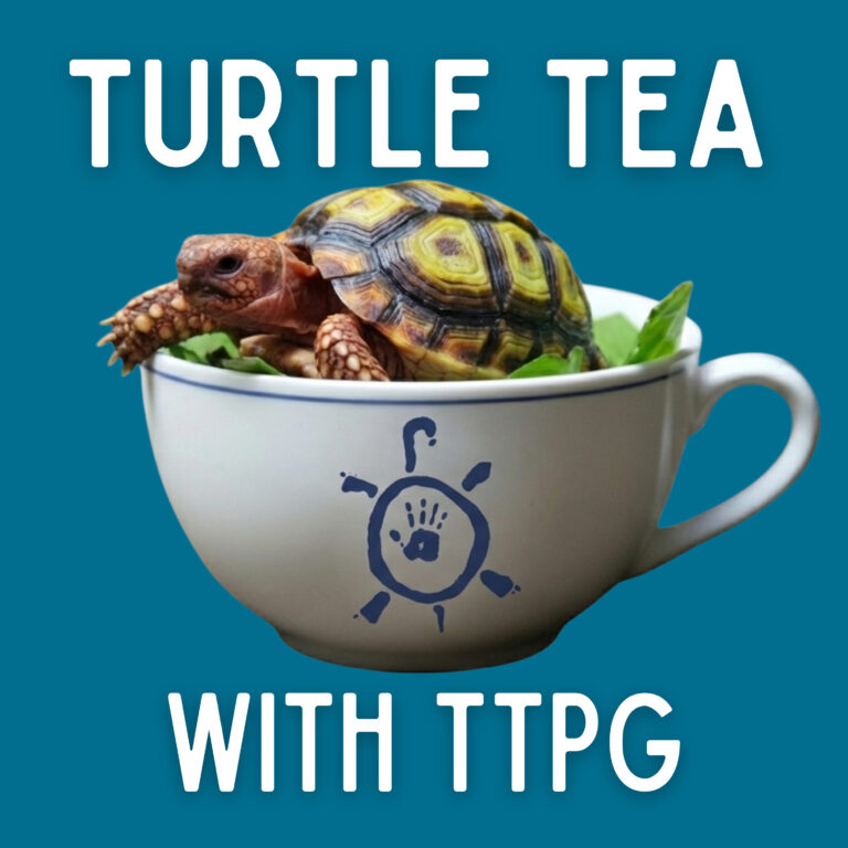 Padlopers: Small Tortoises, Big Conservation Challenges