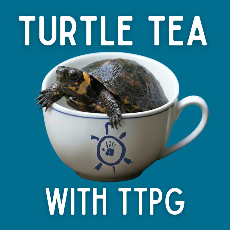 Bog Turtles: Unlocking the Secrets of Captive Breeding Success